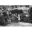 Campers and staff at Tollandale, ca. 1945. Ontario Jewish Archives, Blankenstein Family Heritage Centre, fonds 52, series 1-7, file 4.|